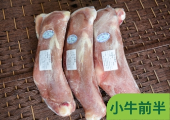 小牛前半