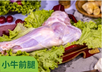 小牛前腿